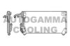 AUTOGAMMA 102649 Condenser, air conditioning